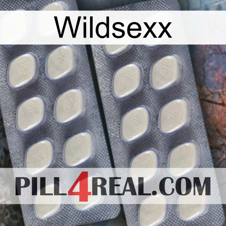 Wildsexx 07